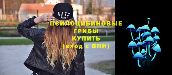 соль ск Абдулино