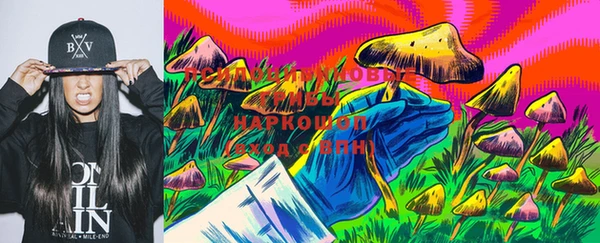 дживик Алзамай