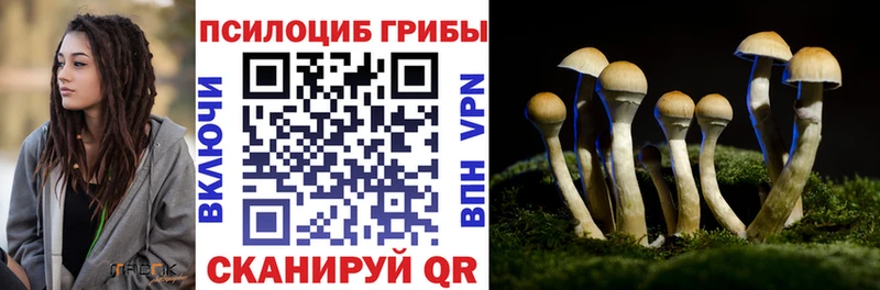 купить наркотик  Карасук  Псилоцибиновые грибы ЛСД 