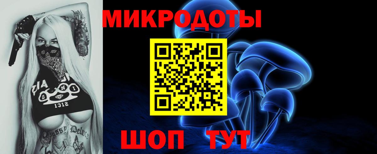 Псилоцибиновые грибы прущие грибы Карасук