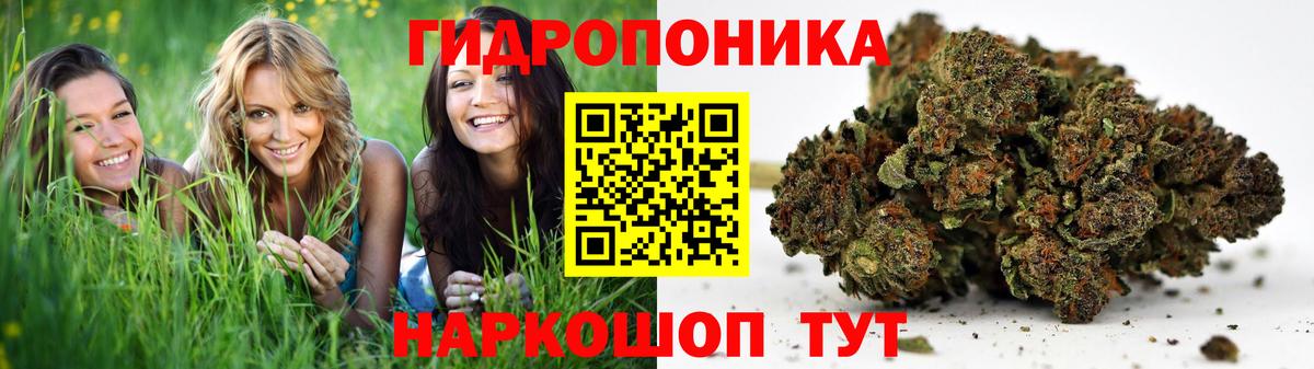 Бошки марихуана Bruce Banner  Вход с VPN  Карасук  Канабис Bruce Banner  Марихуана AK-47 